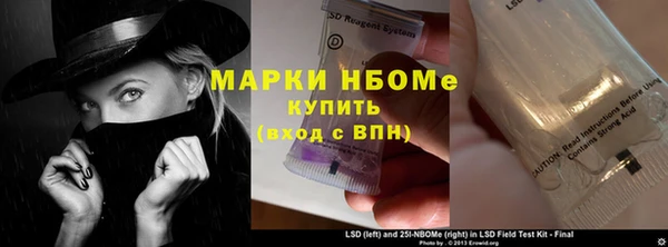 PSILOCYBIN Алзамай