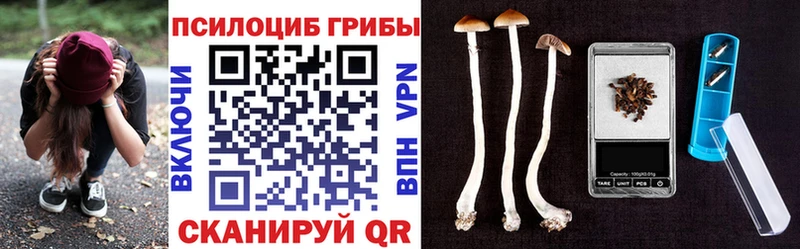 Псилоцибиновые грибы ЛСД  Владикавказ 